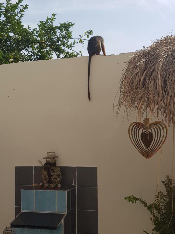 Mandinka Lodge Кололи Экстерьер фото